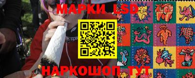 трава Гатчина