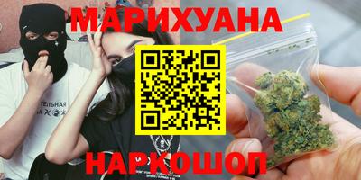 трава Гатчина