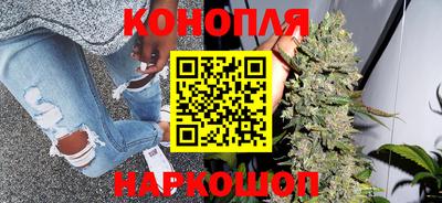 трава Гатчина