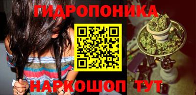 трава Гатчина
