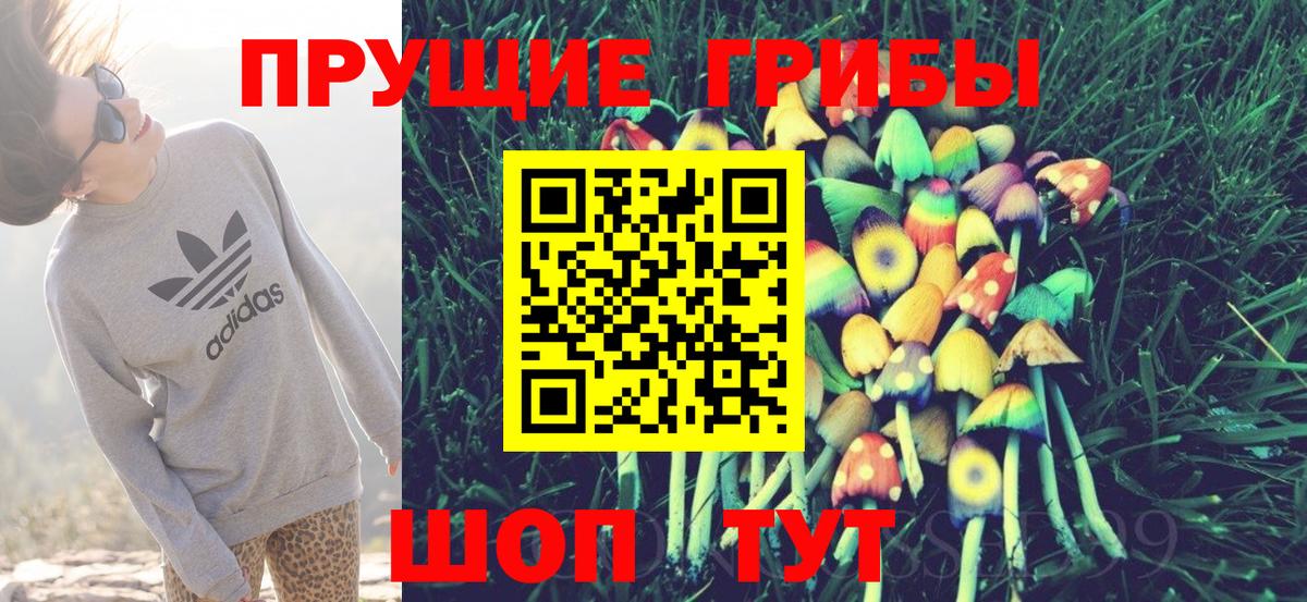 Галлюциногенные грибы Psilocybe Павловский Посад