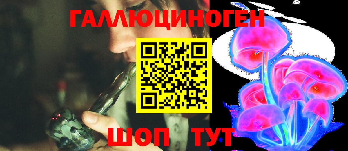 Павловский Посад  Галлюциногенные грибы Psilocybine cubensis  Вход с VPN 
